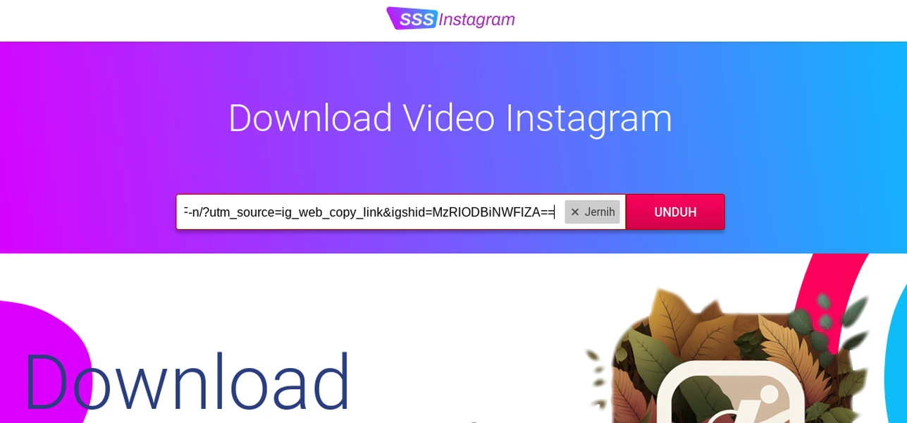download video instagram SSSInstagram