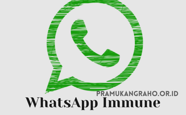 Perbedaan WhatsApp Immune APK dan WhatsApp Asli