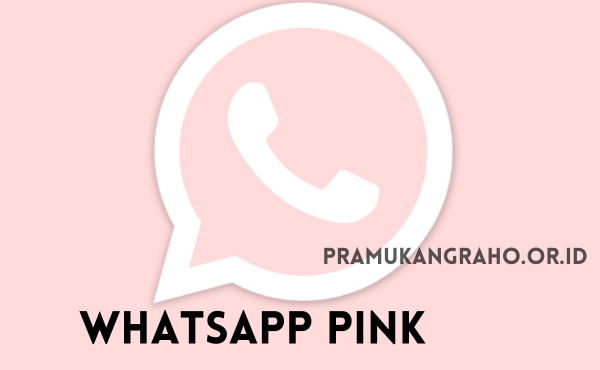 Informasi Singkat tentang WhatsApp Pink APK