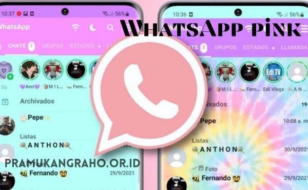 Tentang Perbedaan WhatsApp Pink Mod APK dan WhatsApp Resmi