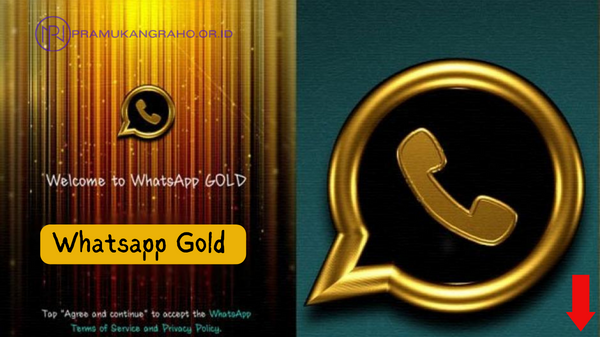 Apa itu WhatsApp Gold APK?